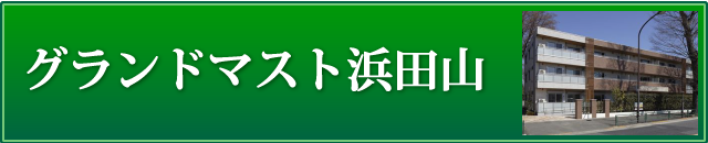 グランドマスト浜田山